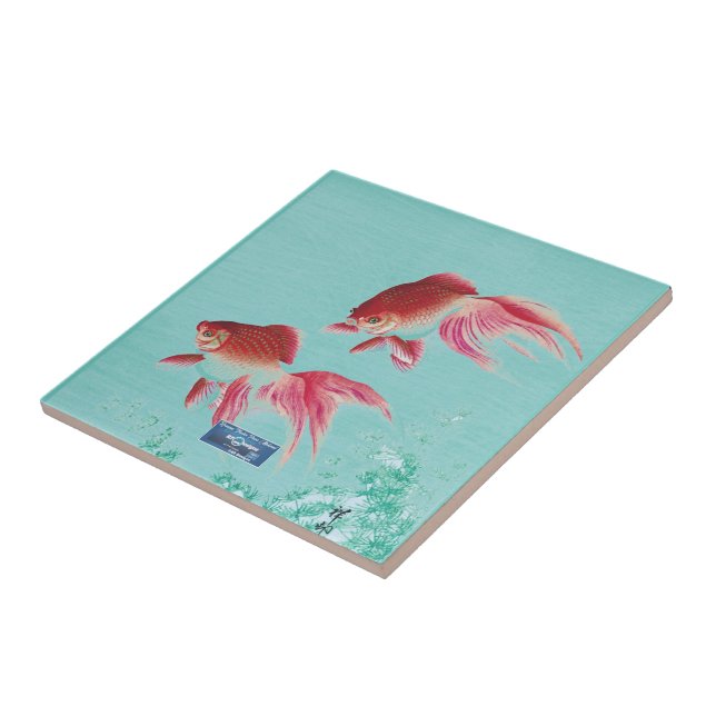 SDCs Azulejo Light-Teal(Beta Kisses) ©️ 2024 (Lateral)