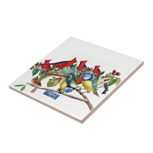 SDCs Azulejo White(Bird Tree) ©️ 2024 (Lateral)