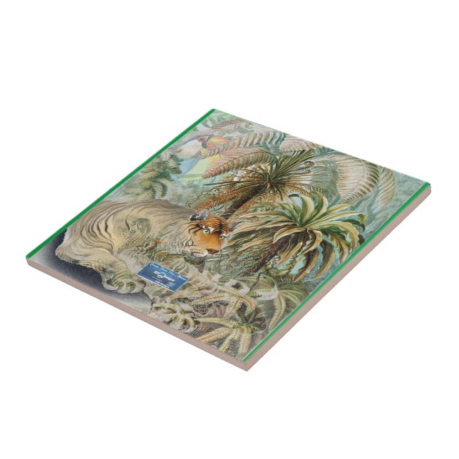 SDCs azulejos de médio-verde (febre da selva) ©️ 2 (Lateral)