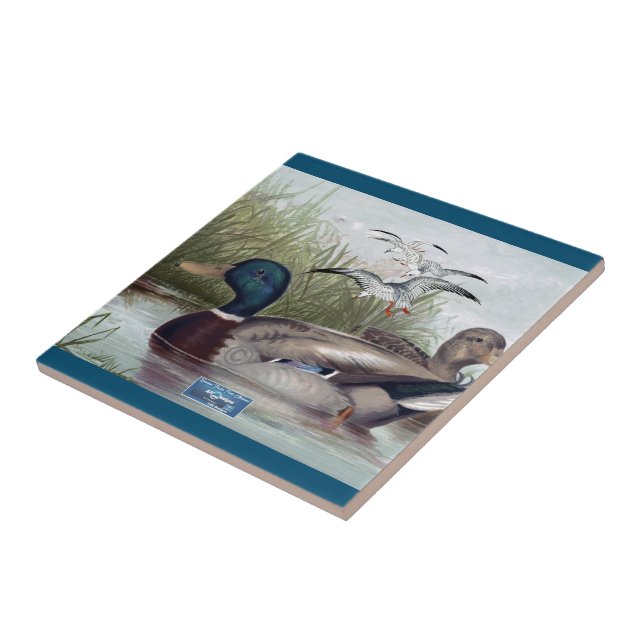 SDCs de azulejo Dark-Teal (Duck Pond) ©️ 2024 (Lateral)