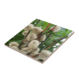 SDCs de azulejo (PussyWillowsInLeaves) ©️ 2012