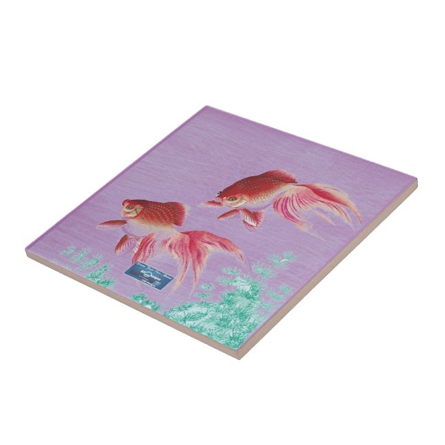 SDCs Violet(Beta Kisses) do azulejo©️ 2024 (Lateral)