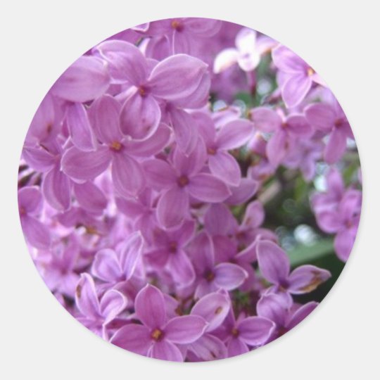 Sdlilac Adesivo Redondo