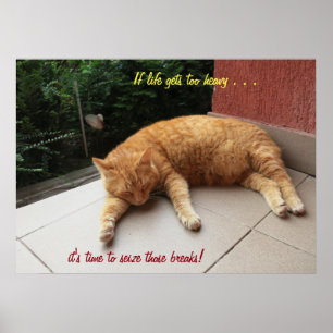 Se a vida ficar muito pesada Gato (2) Poster