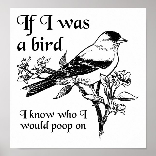 Se eu fosse um Poster engraçado para pássaros (Frente)