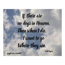 SE NÃO EXISTIREM CÃES, OS ROGERADORES SERÃO POSTER