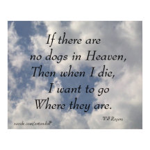 SE NÃO EXISTIREM CÃES, OS ROGERADORES SERÃO POSTER