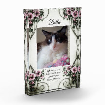 Se o amor pudesse salvá-lo...