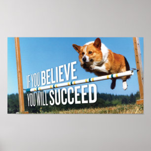 Se você acredita você sucederá o poster da