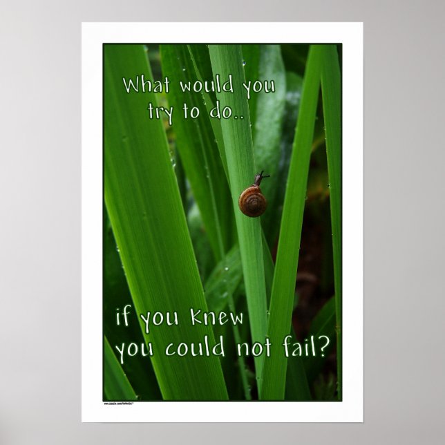 Se você não pudesse falhar Poster impressão (Frente)