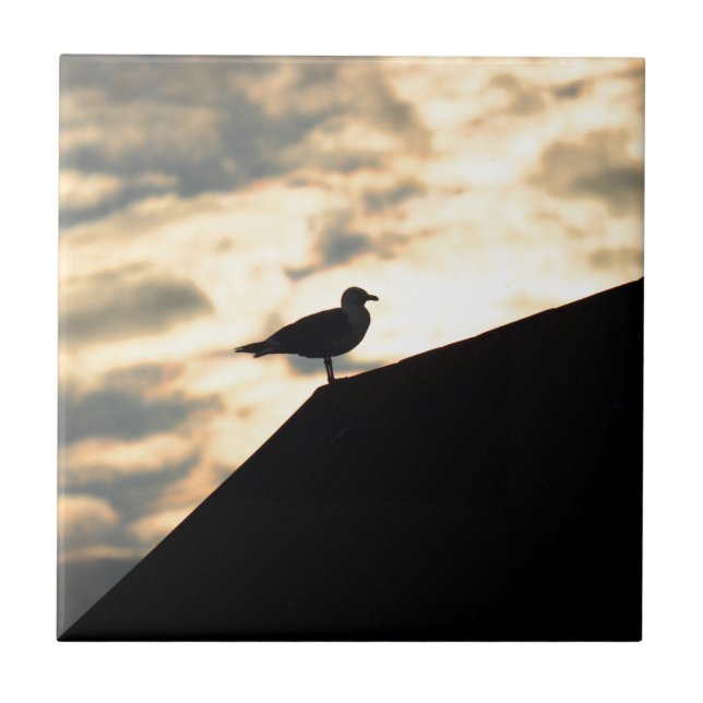 Sea Gull Sunset (Frente)