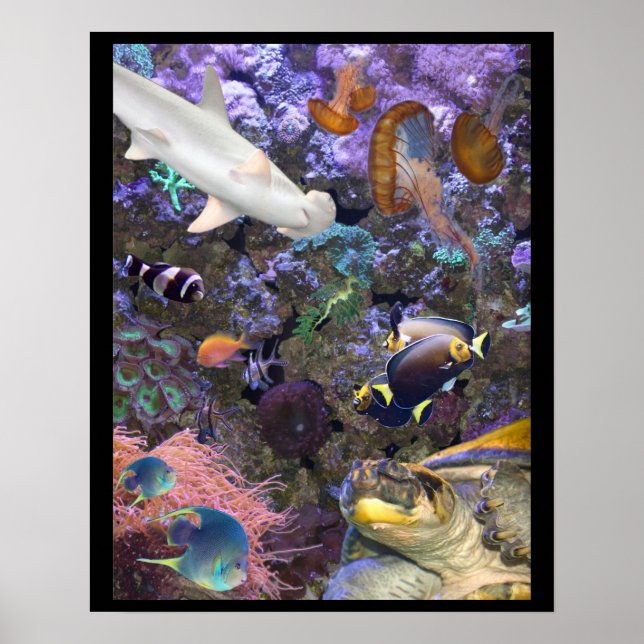 Sea Life Poster (Frente)