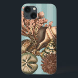 Sea Life Silhouette<br><div class="desc">This art print displays the finest things in nature within the ocean. Find all the different types of sea life in this image including a Conch Seashell,  Sand Dollars,  and Reefs buried deep in the sea. This art collection is a must have in your next Zazzle products.</div>