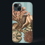Sea Life Silhouette<br><div class="desc">This art print displays the finest things in nature within the ocean. Find all the different types of sea life in this image including a Conch Seashell, Sand Dollars, and Reefs buried deep in the sea. This art collection is a must have in your next Zazzle products.</div>