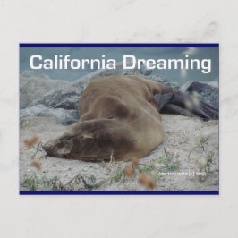 Sea Lion - California Dreaming - Cartão postal
