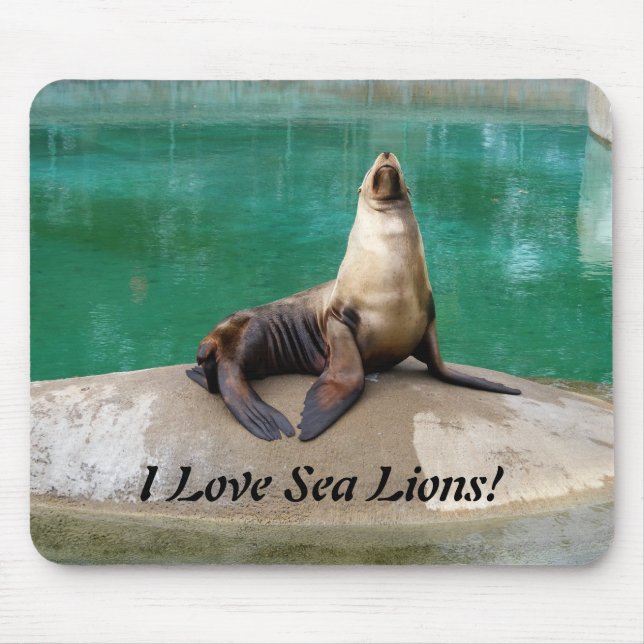 Sea Lion Mousepad (Frente)