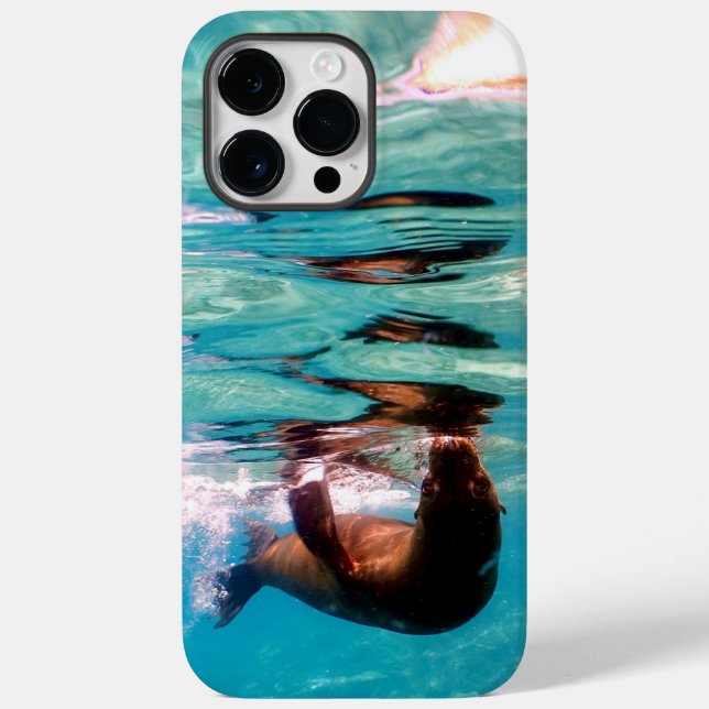 Sea Lion Speck Case (Verso)