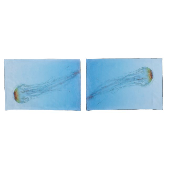 Sea Nettle (Frente - conjunto)