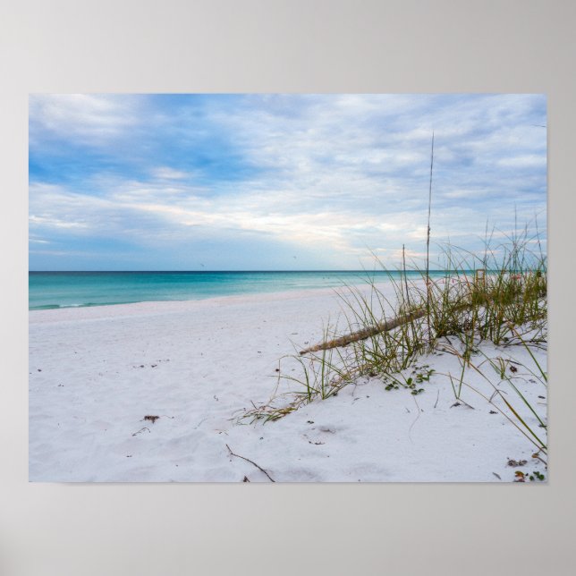 Sea Oats And White Sand Beach Morning Poster (Frente)