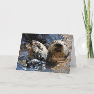 Sea Otters Smiling - Cartão de Arte Frameável