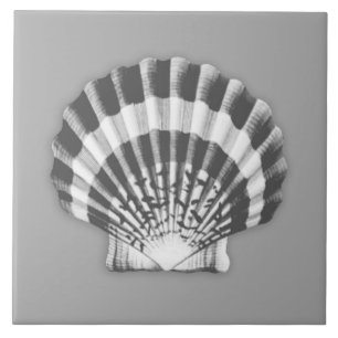 Sea Shell - cinzas de carvão e branco