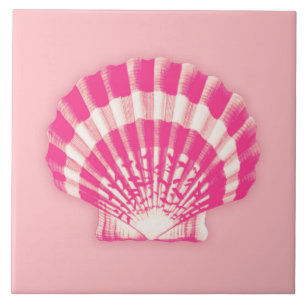Sea Shell - cor-de-rosa e branco de fúcsia
