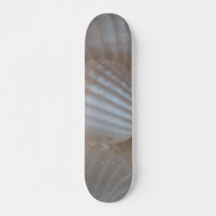 Sea Shells Summer Beach Exotic Tropical Skateboard