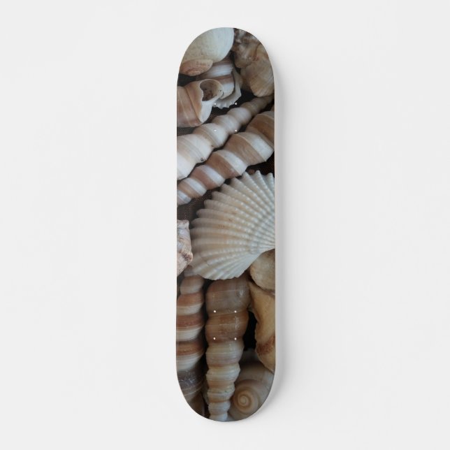 Sea Shells Summer Beach Exotic Tropical Skateboard (Frente)
