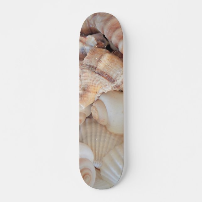 Sea Shells Summer Beach Exotic Tropical Skateboard (Frente)