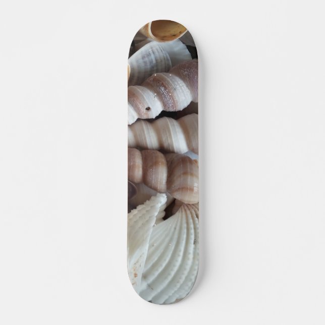 Sea Shells Summer Beach Exotic Tropical Skateboard (Frente)