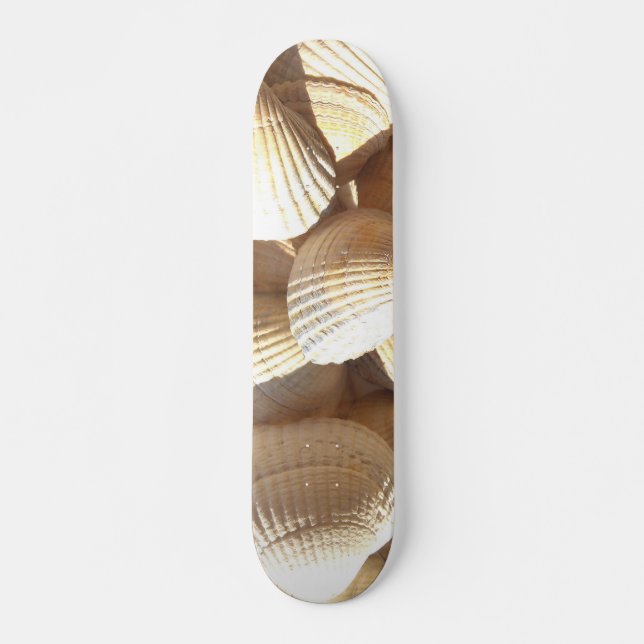 Sea Shells Summer Beach Exotic Tropical Skateboard (Frente)