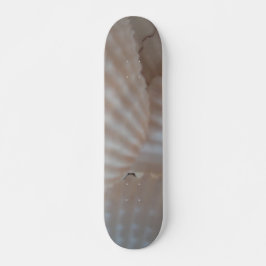 Sea Shells Summer Beach Exotic Tropical Skateboard