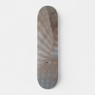 Sea Shells Summer Beach Exotic Tropical Skateboard