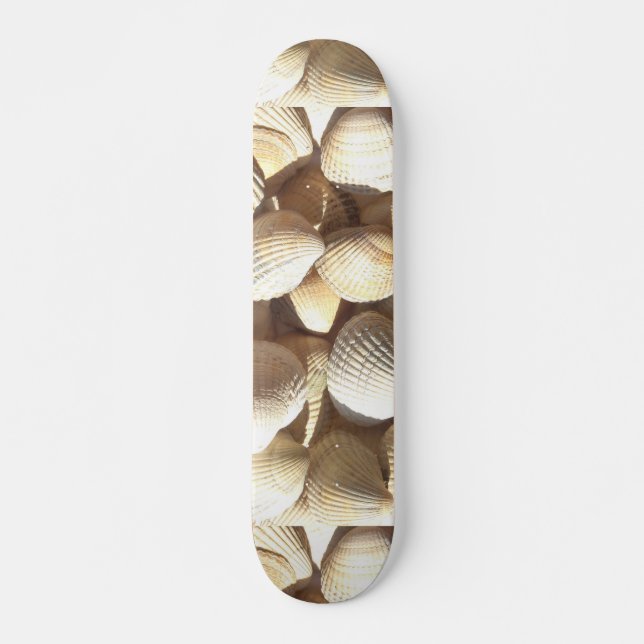 Sea Shells Summer Beach Exotic Tropical Skateboard (Frente)