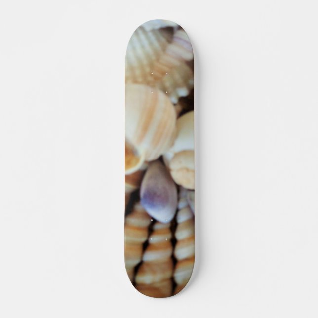 Sea Shells Summer Beach Exotic Tropical Skateboard (Frente)