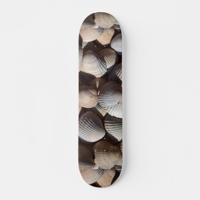 Sea Shells Summer Beach Exotic Tropical Skateboard (Frente)