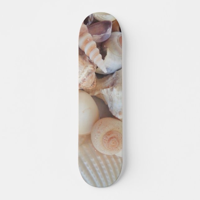 Sea Shells Summer Beach Exotic Tropical Skateboard (Frente)