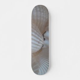 Sea Shells Summer Beach Exotic Tropical Skateboard