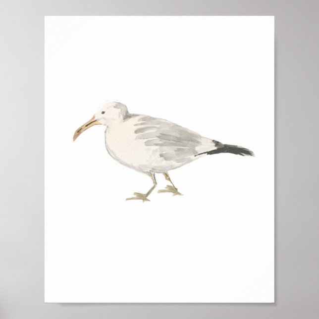 Seagull Beach Bird Painting Poster (Frente)