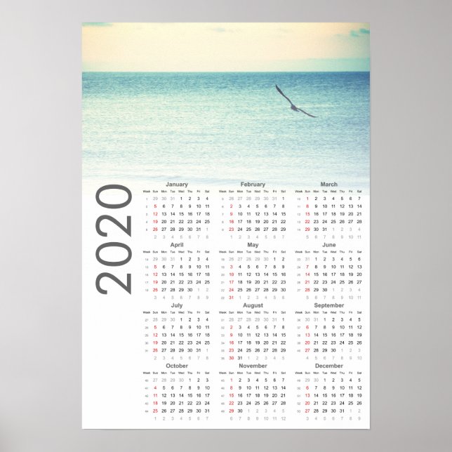 Seagull Calendar 2020 Poster (Frente)