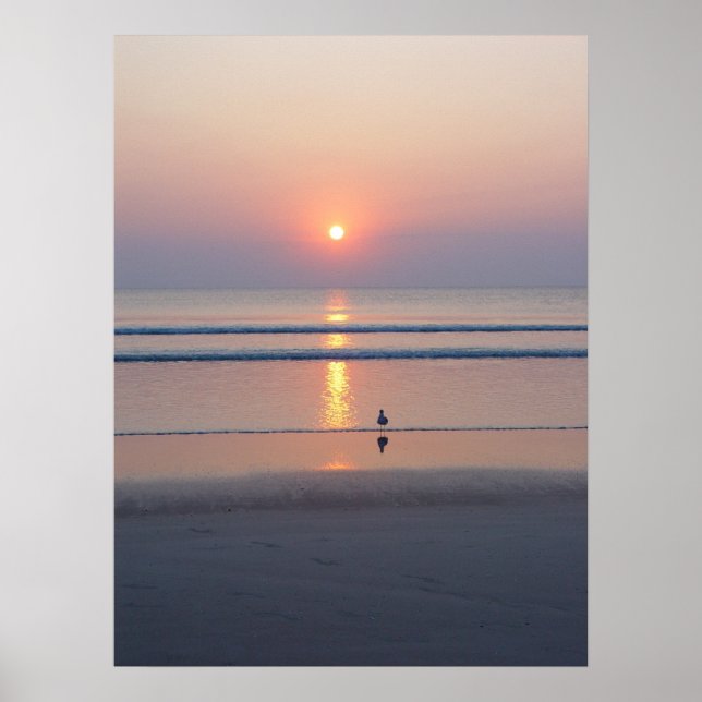 Seagull Daytona Beach FL Ocean Sunrise Poster (Frente)