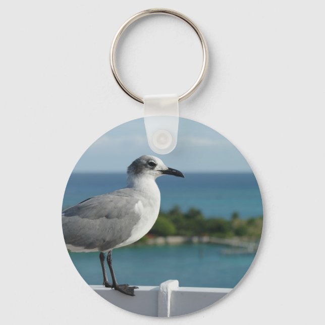 Seagull Em Paradise Chaveiro (Frente)