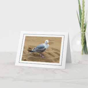Seagull em um cartão de saudação de praia arenosa