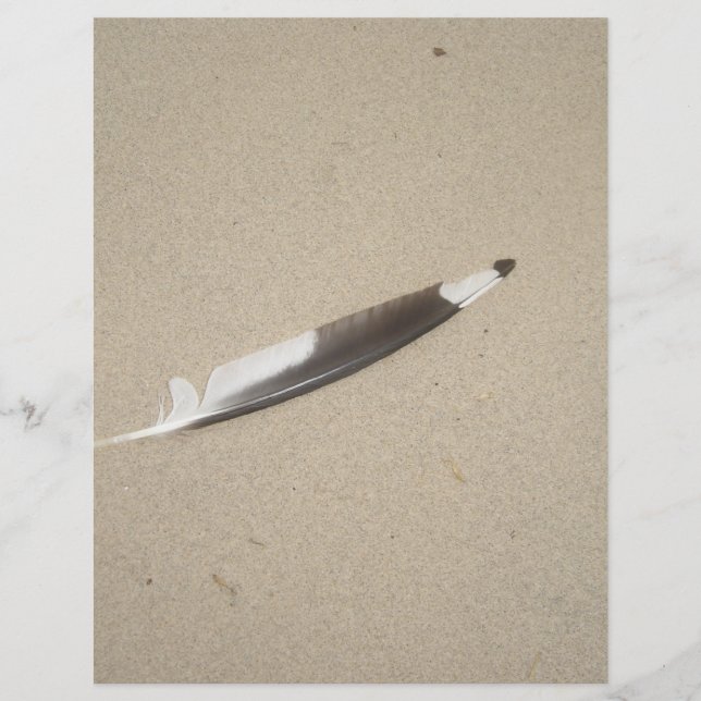 Seagull Feather (Frente)