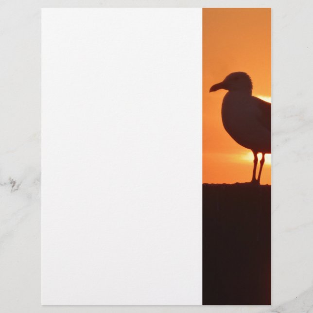 Seagull Sunset (Frente)
