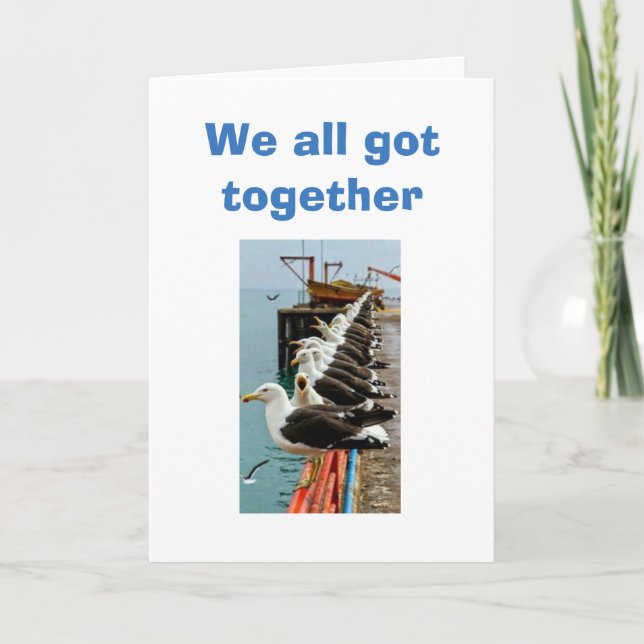 SEAGULLS SE JUNTARAM E DESEMBARCARAM PARA CARTÃO D (Frente)