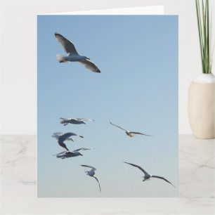 Seagulls Voando Adicionar Próprio Cartão de Saudaç