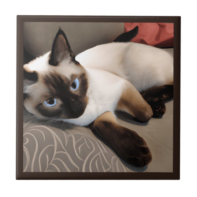 Seal Point Retrato Digital Siamese (Frente)