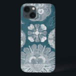 Sealife Blueprint IV<br><div class="desc">Vida marinha</div>