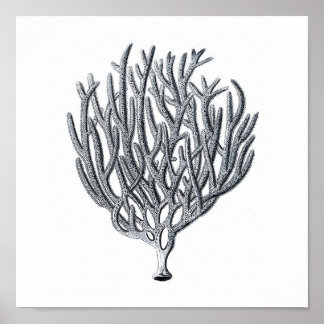 Sealife Group12A Impressão 1